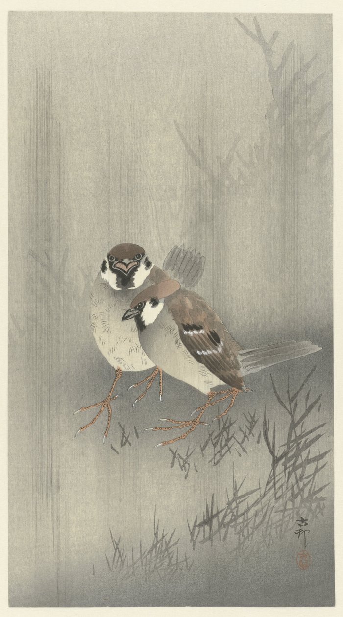 Due passeri nella pioggia da Ohara Koson