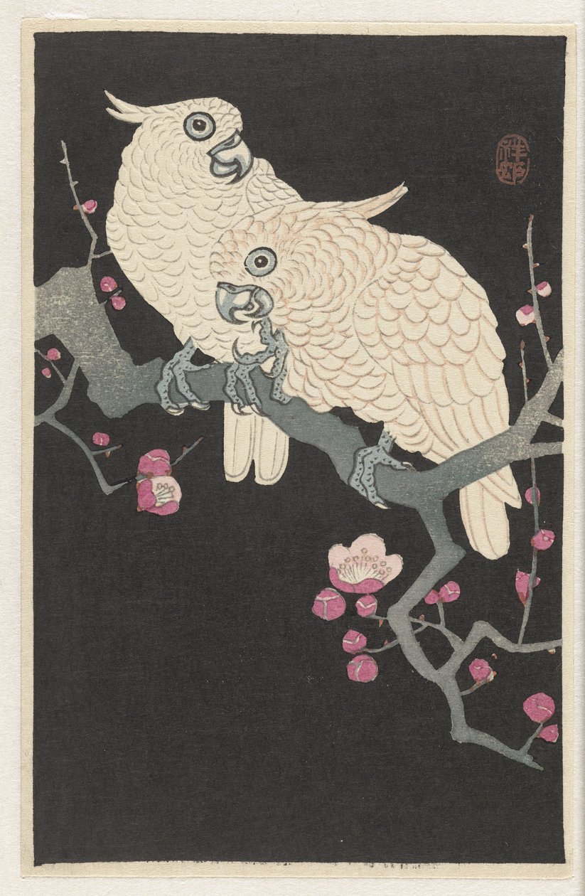 Due cacatua e fiori di pruno da Ohara Koson