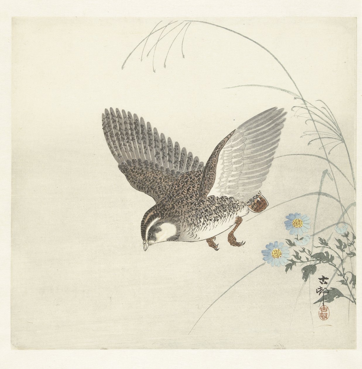 Quaglia volante da Ohara Koson