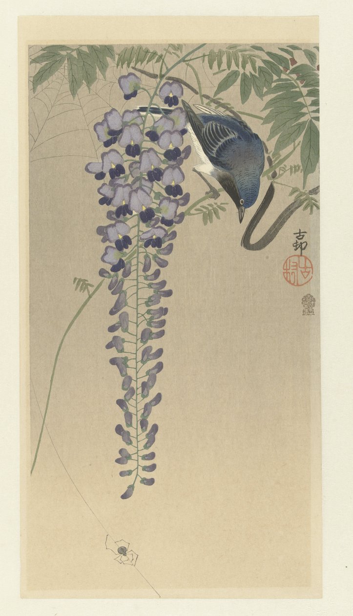 Acchiappamosche vicino al glicine da Ohara Koson