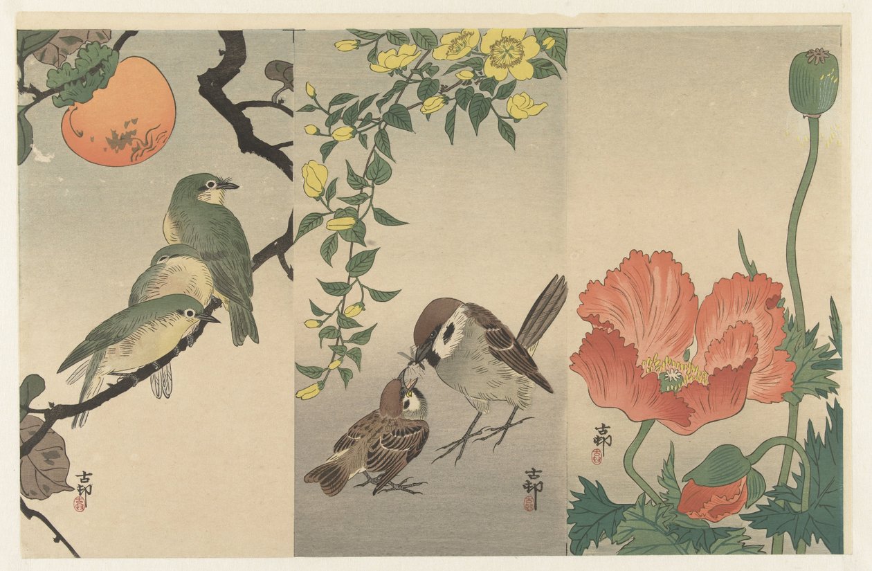 Uccelli e piante da Ohara Koson