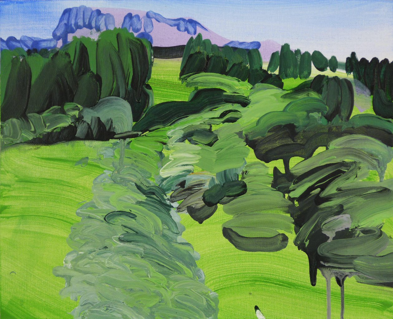 Leukerbad 1, 2012 (acrilico su tela) da Olivier Morel
