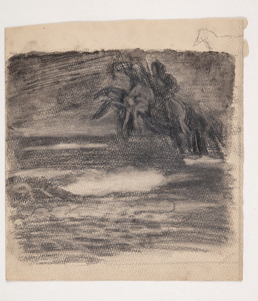 Cavallo impennato sopra il mare o le nuvole da Oluf Hartmann