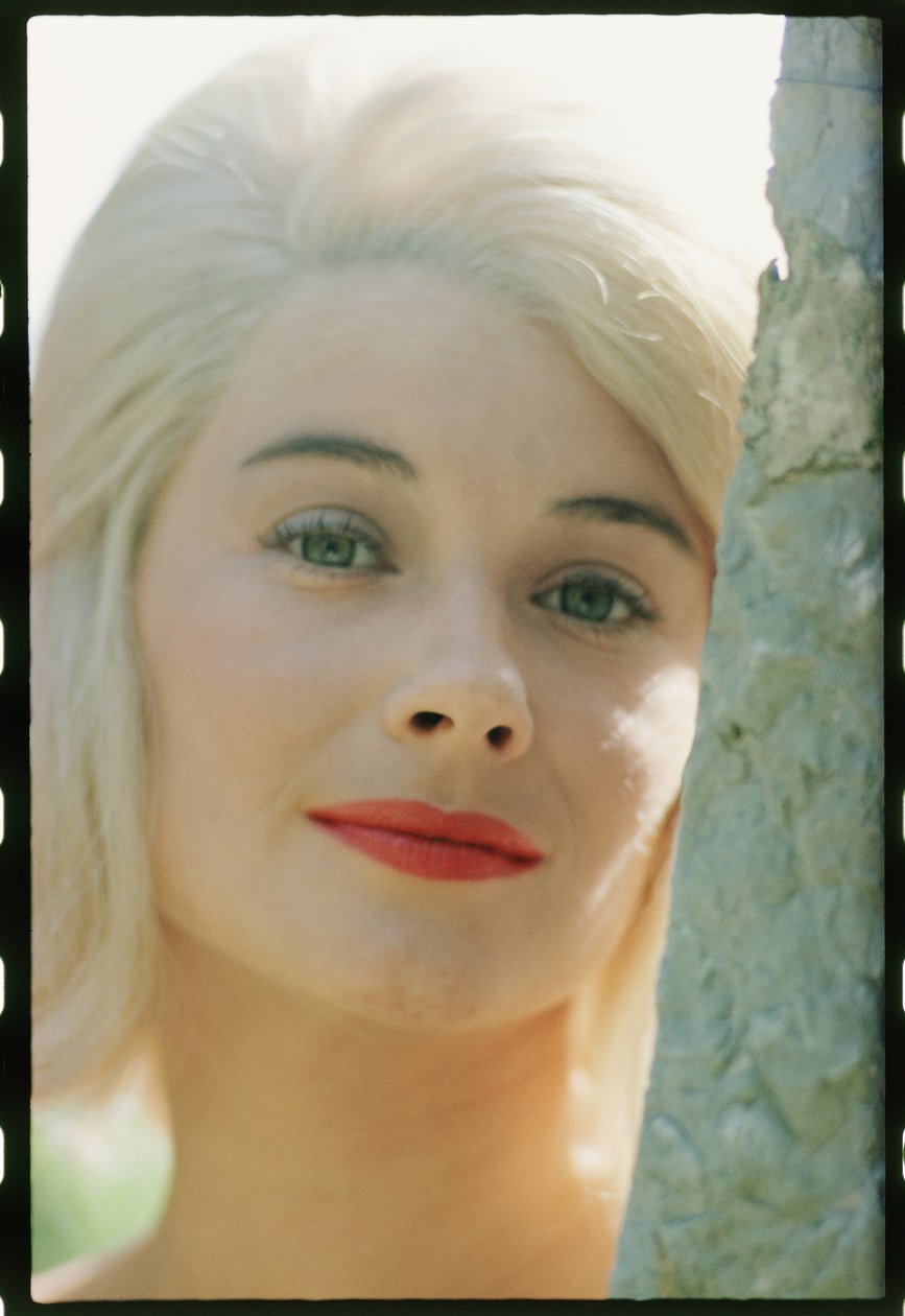 Primo piano di Hope Lange da Orlando Suero