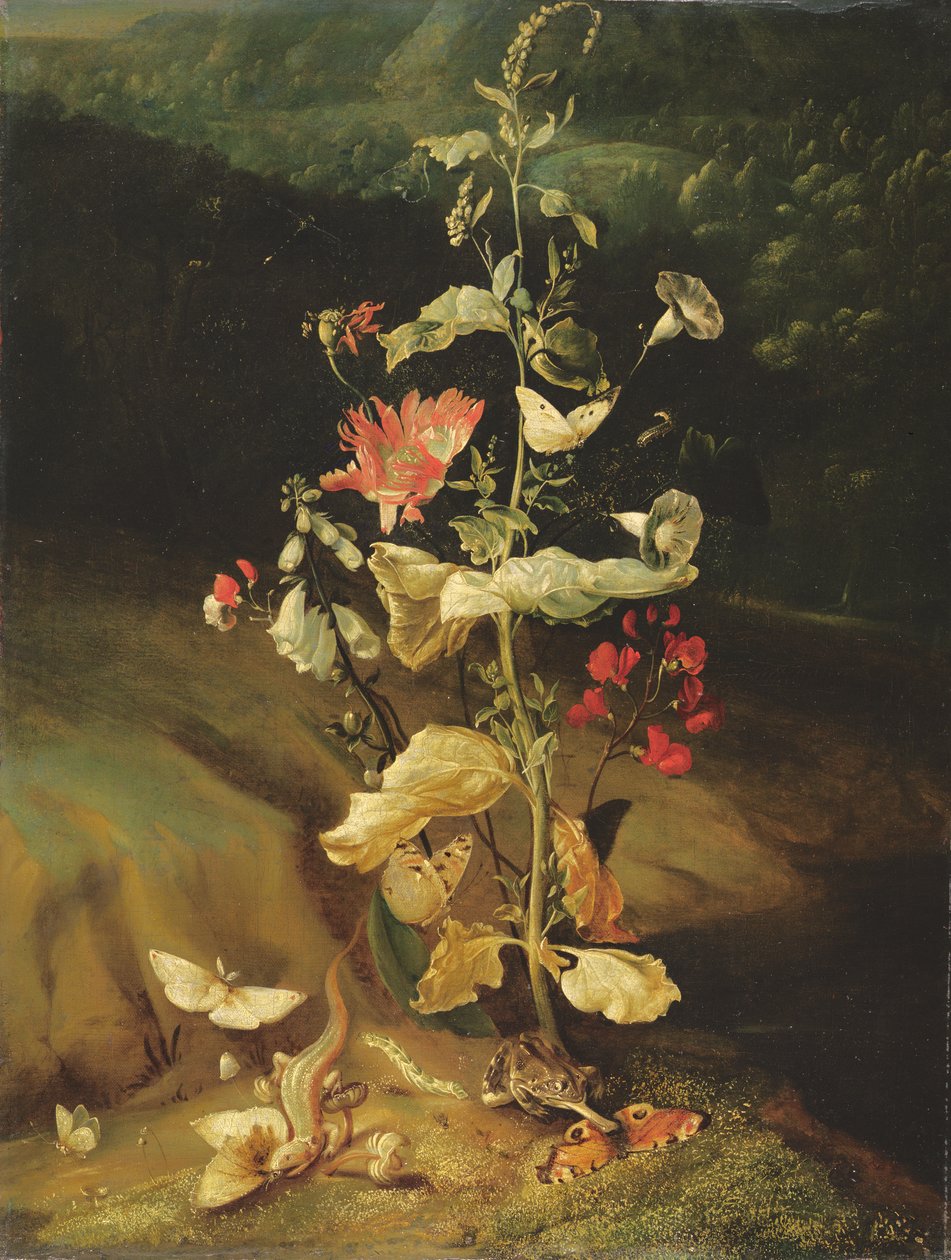 Natura morta con fiori da Otto Marseus  van Schrieck