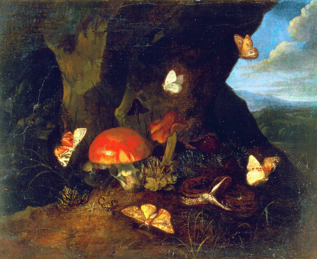 Sottobosco e fauna selvatica da Otto Marseus  van Schrieck