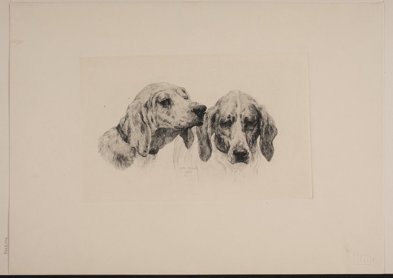 Danese: Due teste di cane da Otto Bache