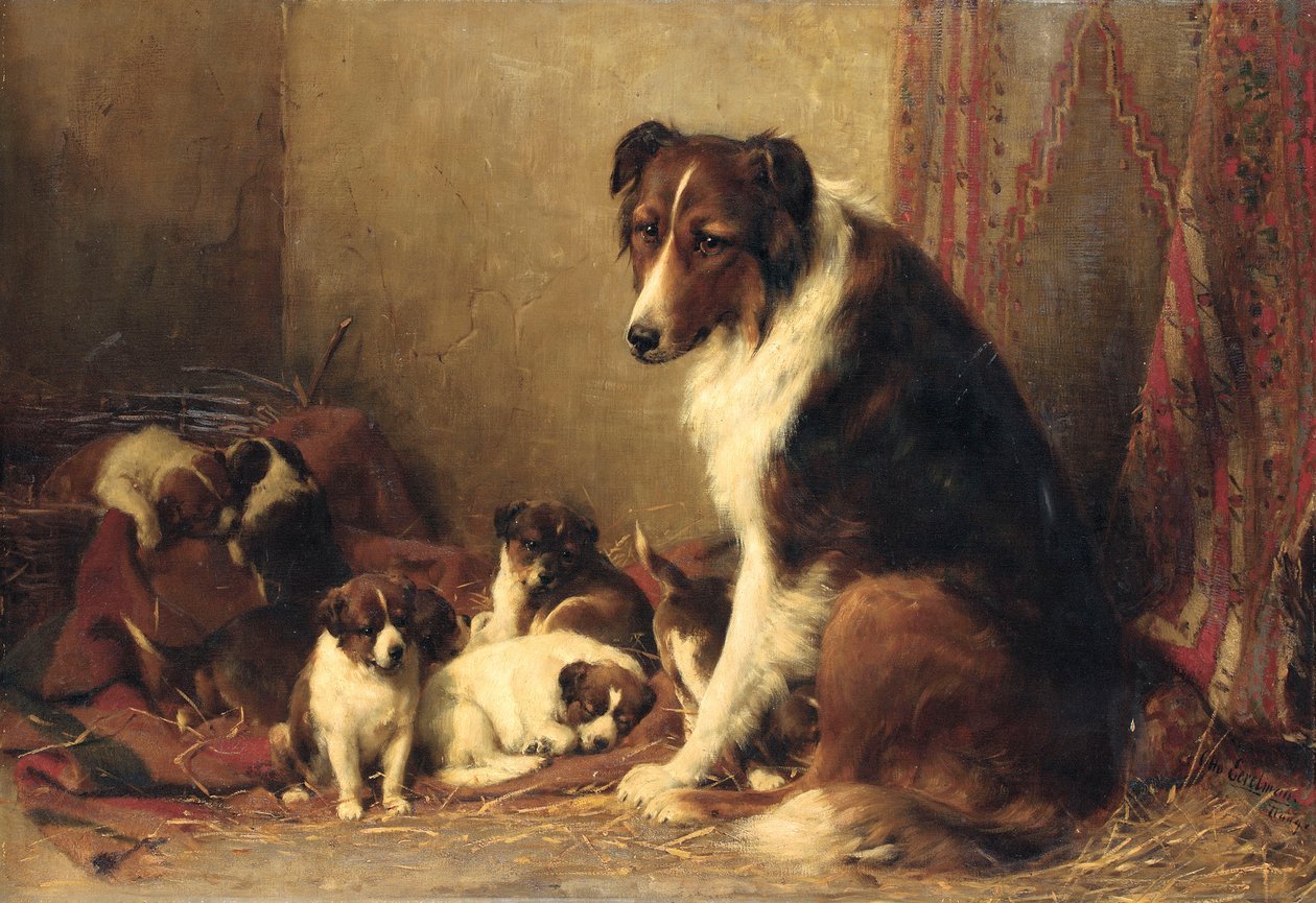 Un collie con i suoi cuccioli da Otto Eerelman