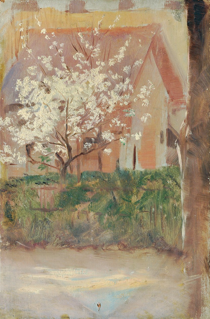 Albero in fiore bianco nel giardino anteriore da Otto Friedrich