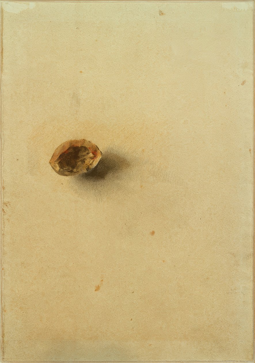 Guscio di noce da Otto Meyer Amden