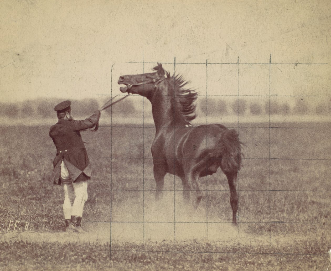 Cavallo, 1884 da Ottomar Anschütz