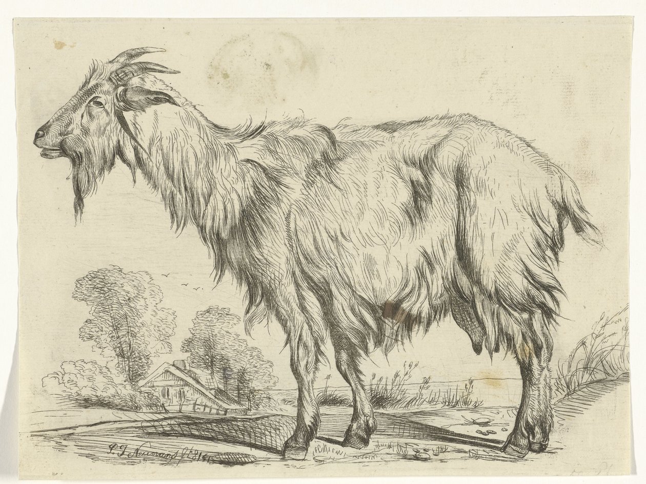 Capra in piedi da P.J. Neumans
