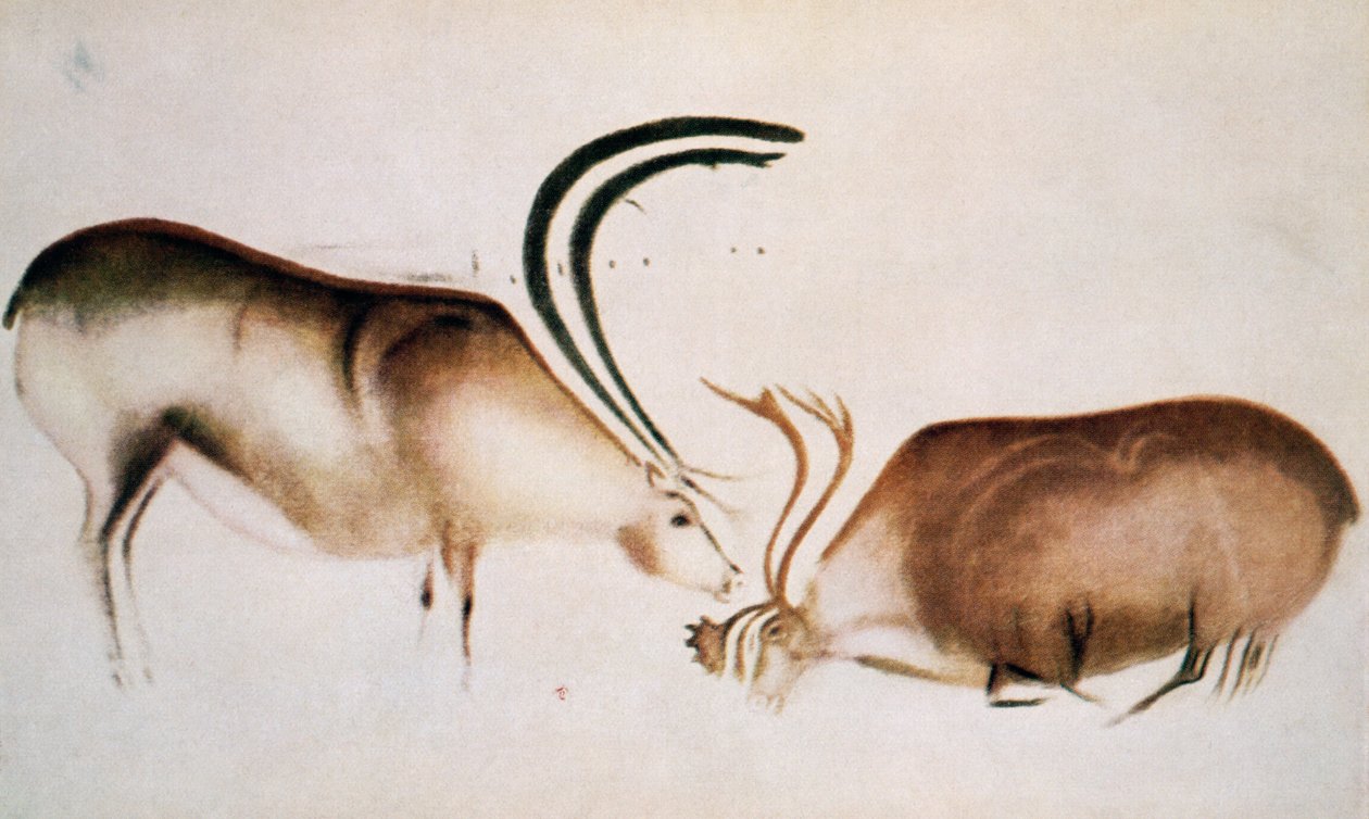 Cervo maschio e femmina, scuola magdaleniana, c.13000 a.C. (pittura rupestre) da Paleolithic