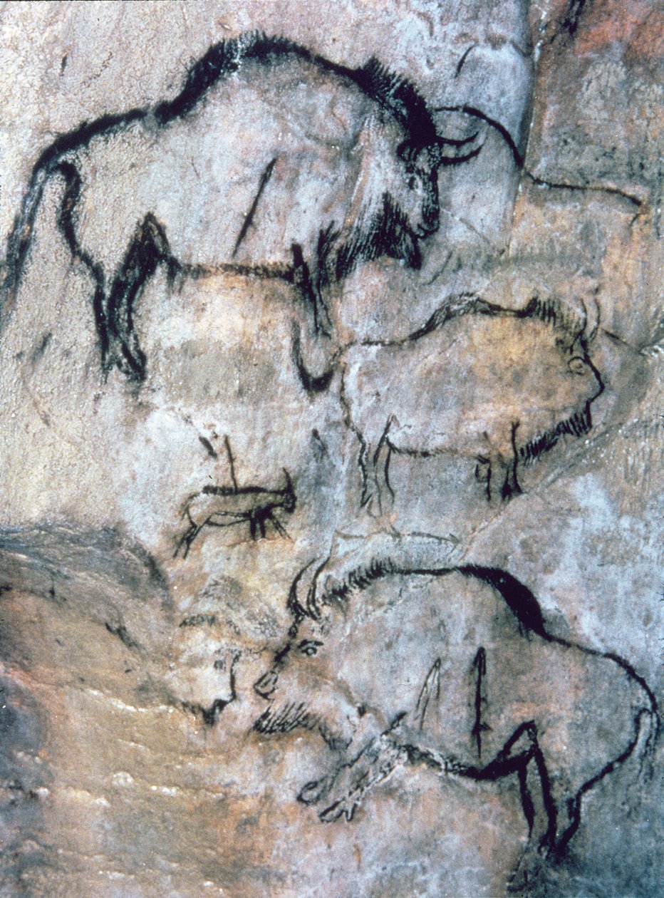 Bisonte ferito, Magdaleniano da Paleolithic Paleolithic