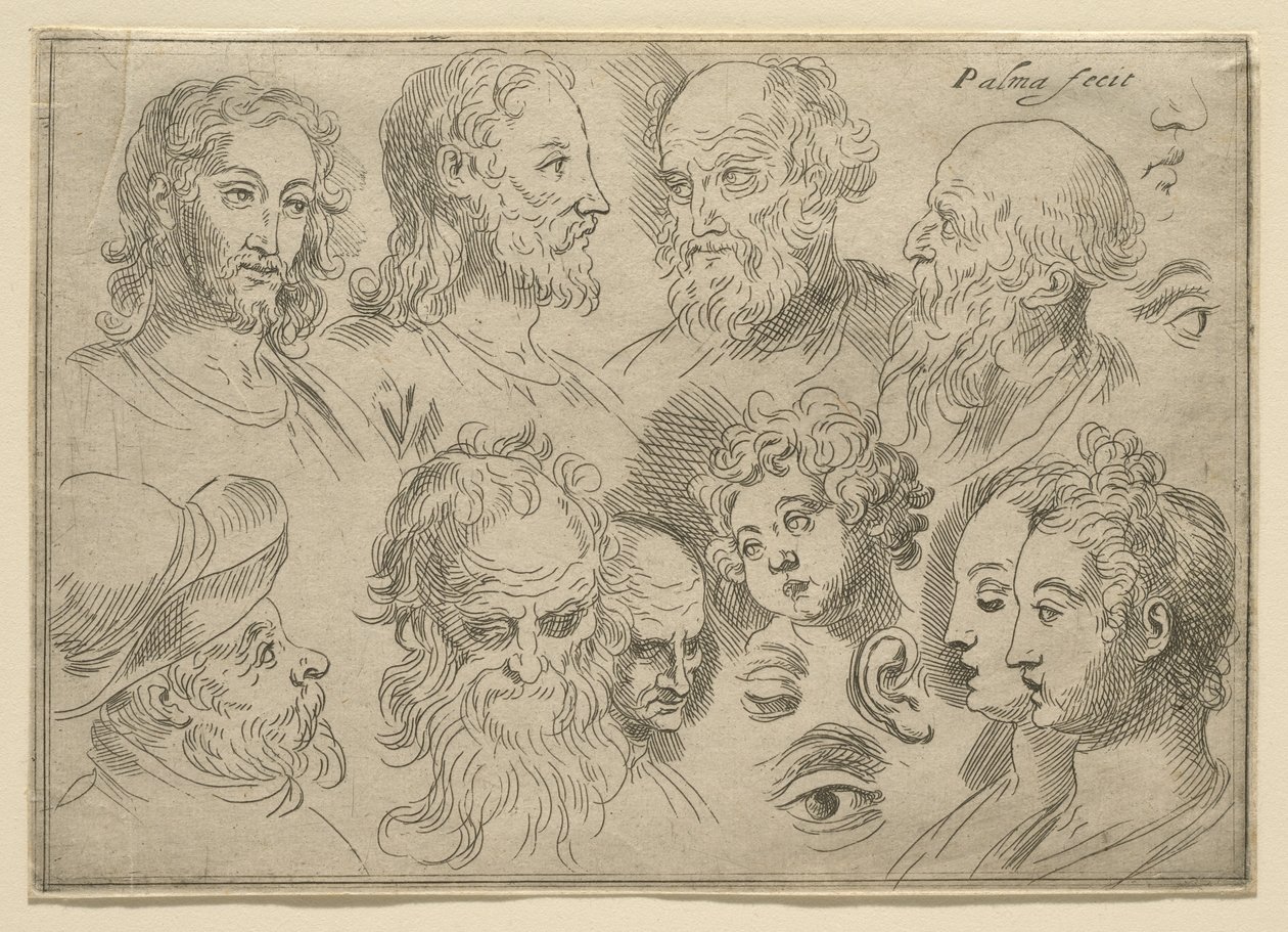 Tavola di Schizzi con Dieci Teste, 1636 da Palma Il Giovane