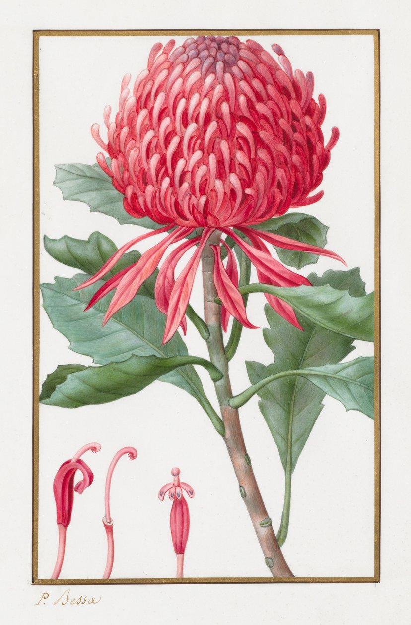 Senza titolo, 1828-1835 da Pancrace Bessa