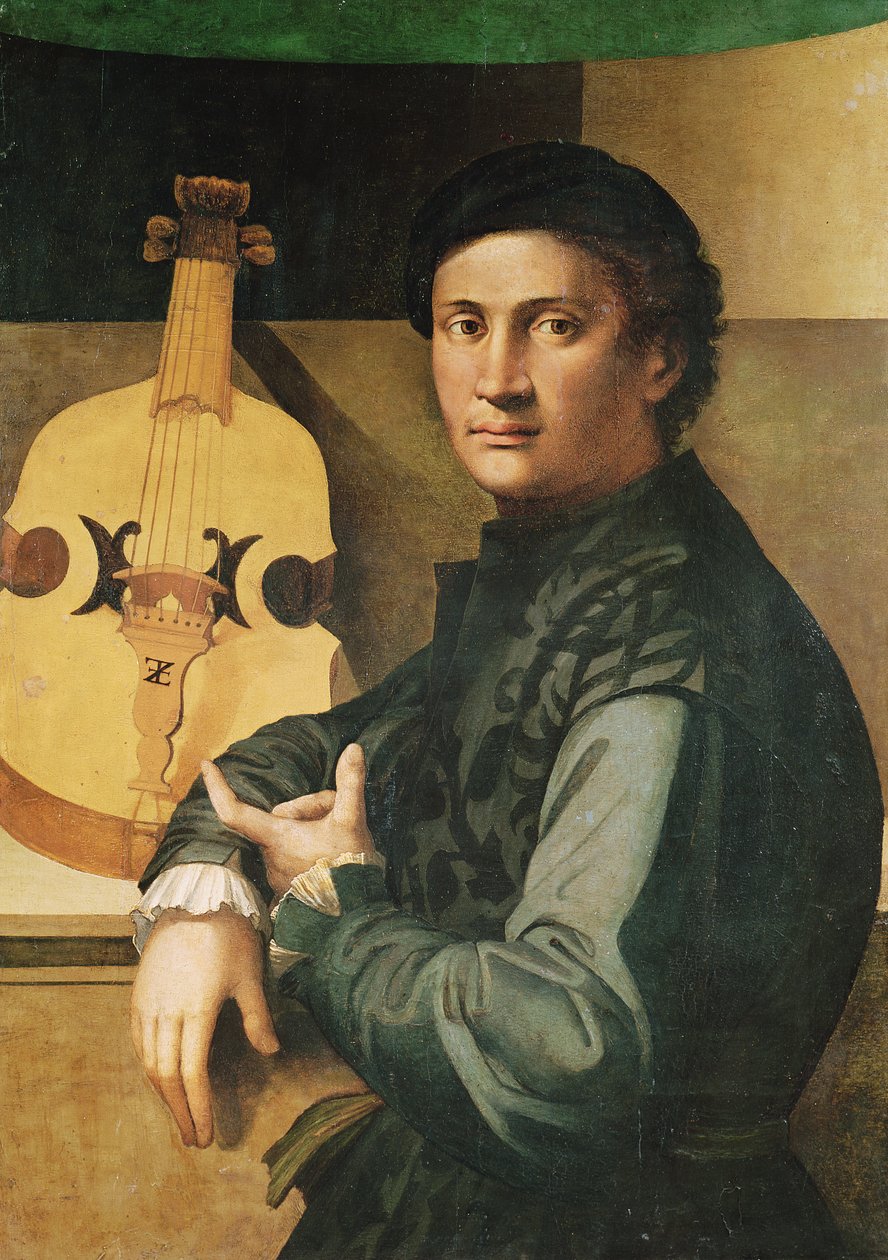 Il Suonatore di Viola da Paolo Zacchia
