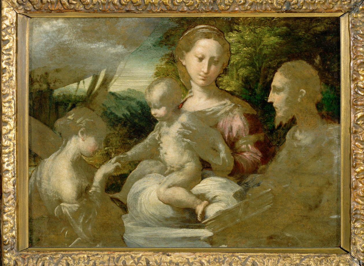 Madonna e santi ... da Parmigianino (1503 40)