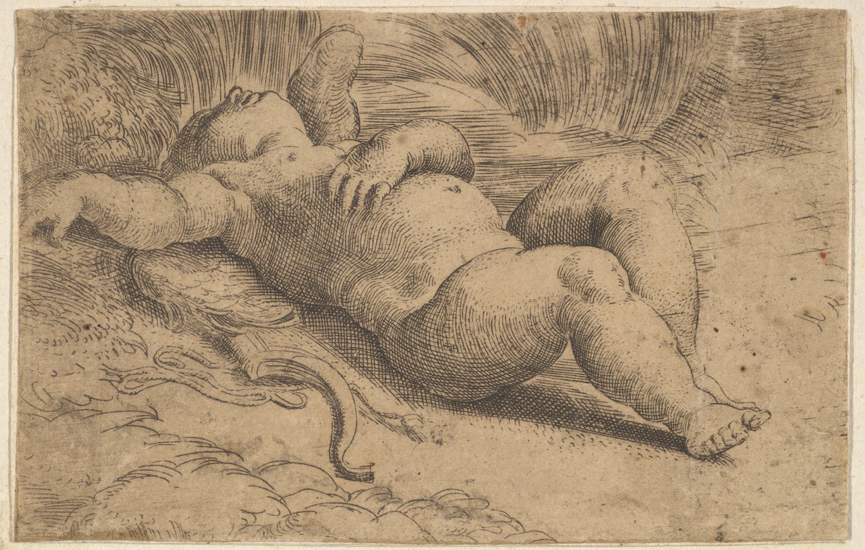 Cupido dormiente, XVI secolo da Parmigianino