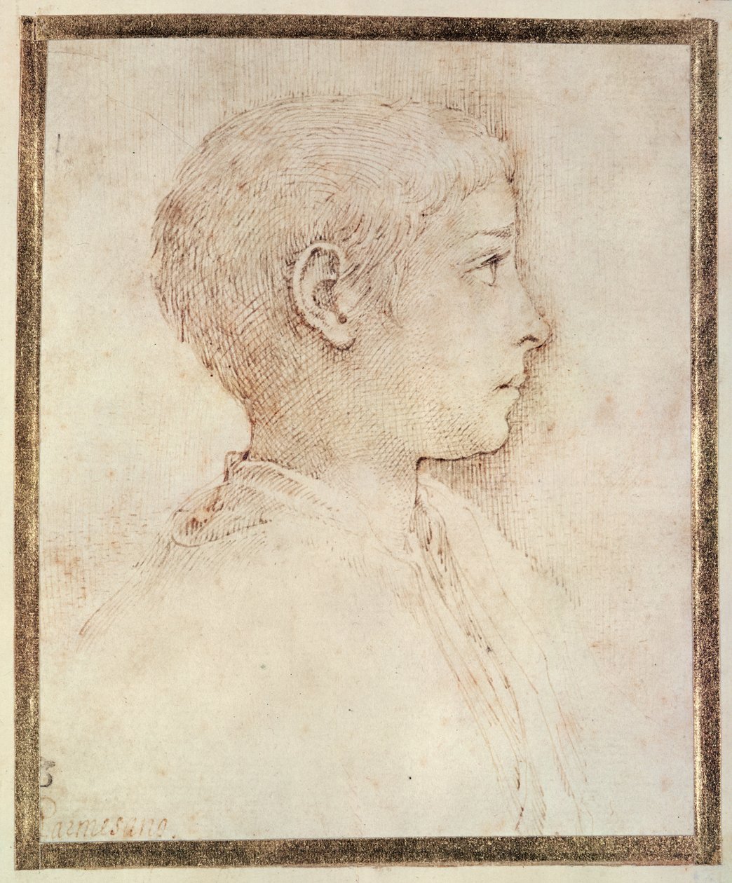 Testa di un ragazzo da Parmigianino