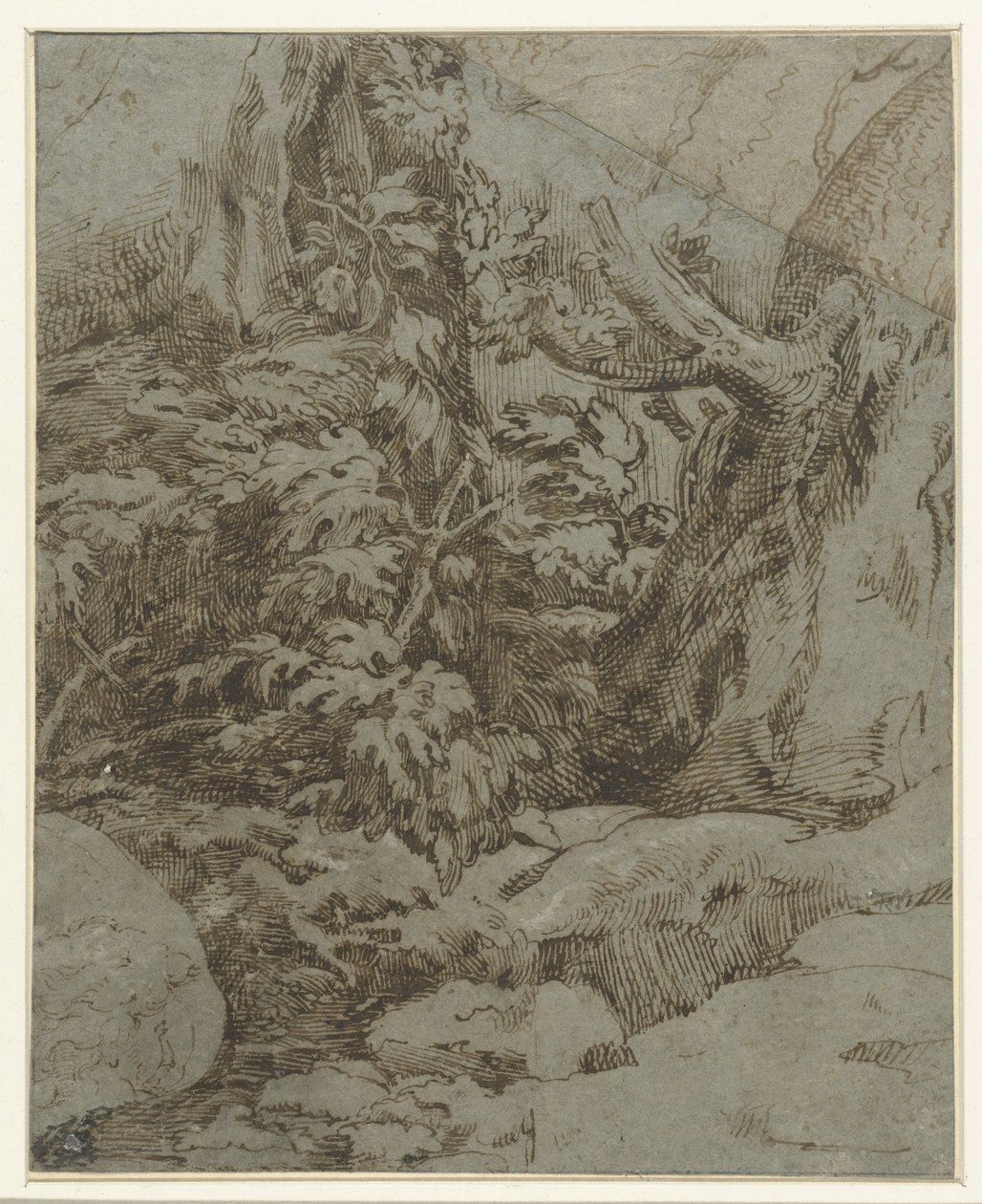 Studio di un paesaggio da Parmigianino