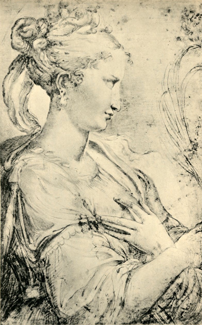 Studio di Santa Caterina, c1530-1540, 1943 da Parmigianino