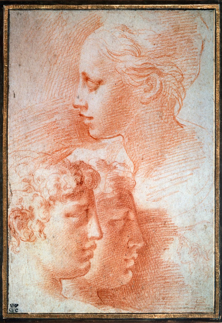 Studio delle teste, c. 1527 da Parmigianino