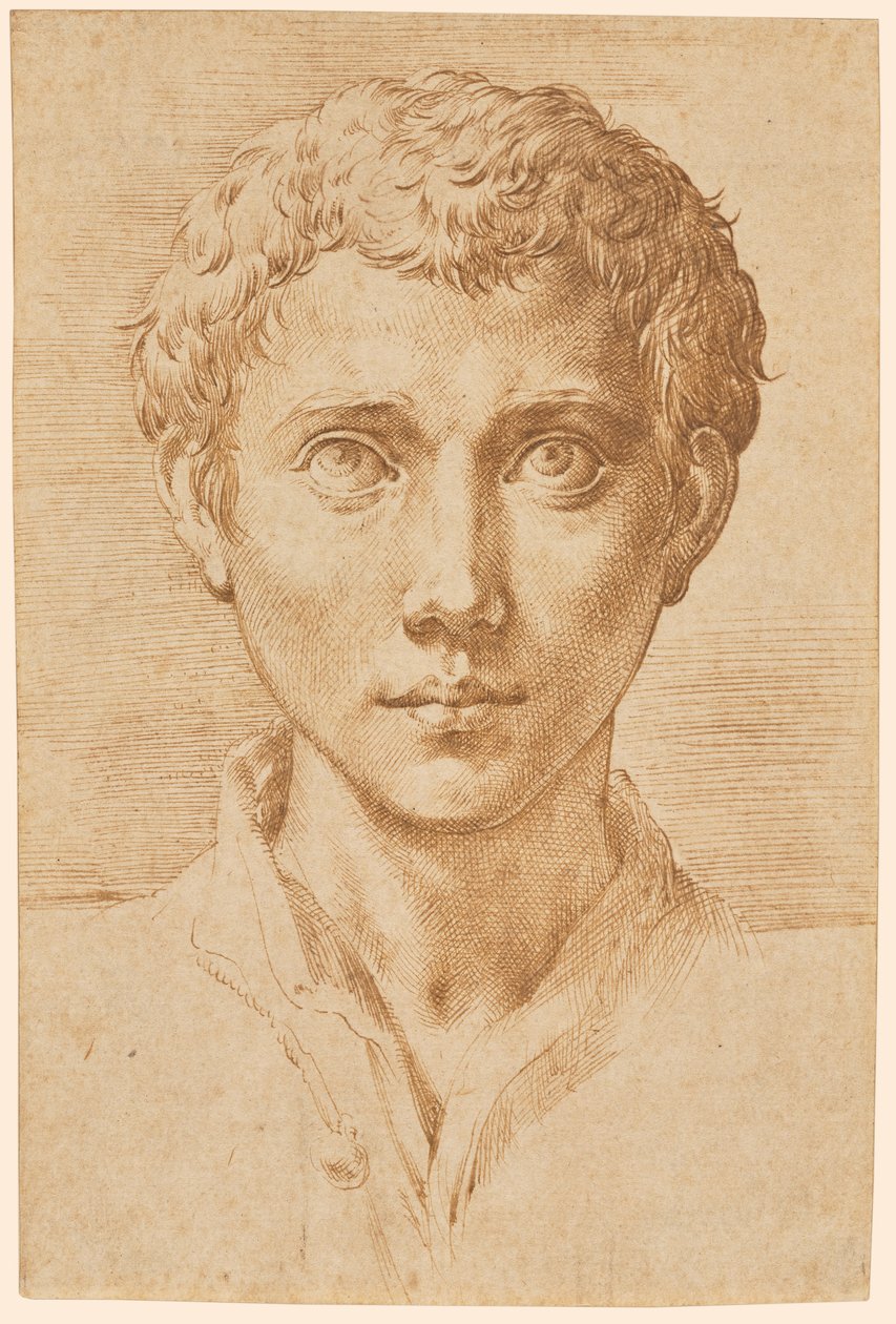 La testa di un giovane da Parmigianino
