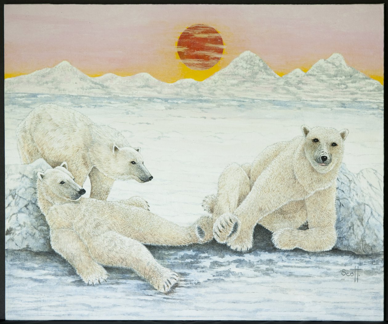 Una lunga notte di giorni da Pat Scott
