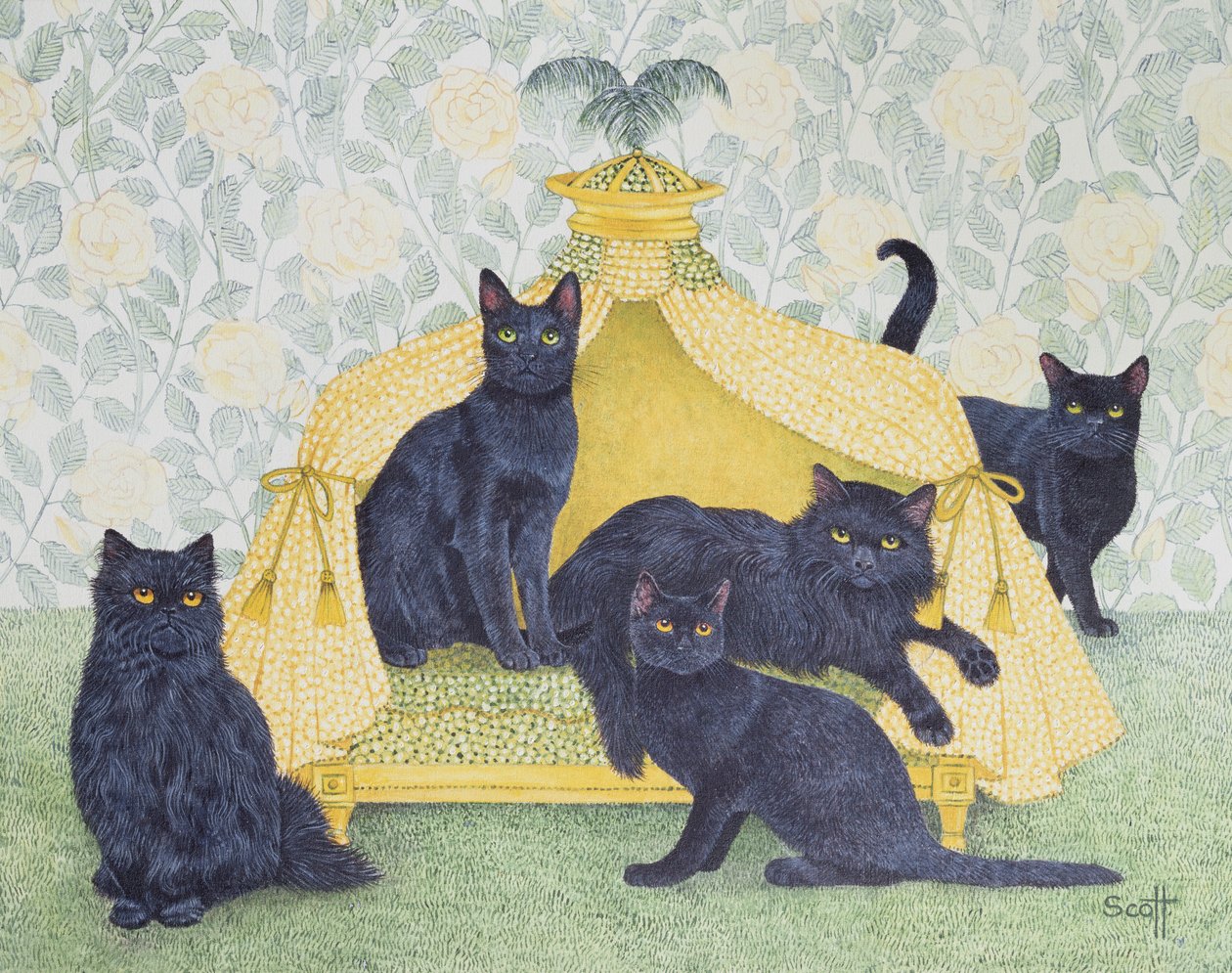 Velluto nero da Pat Scott
