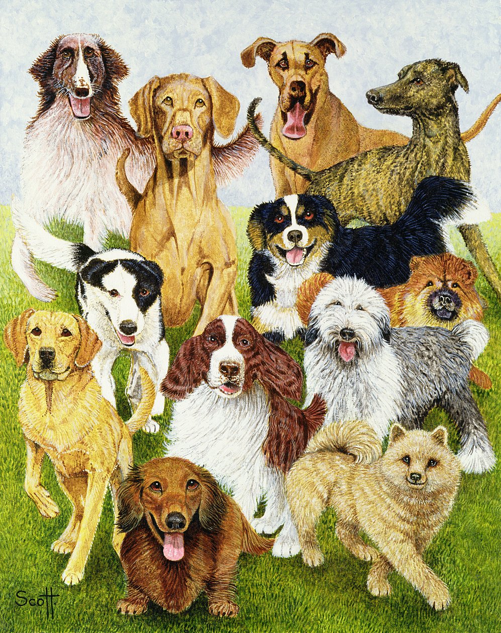 Dog Days (olio su tela) da Pat Scott