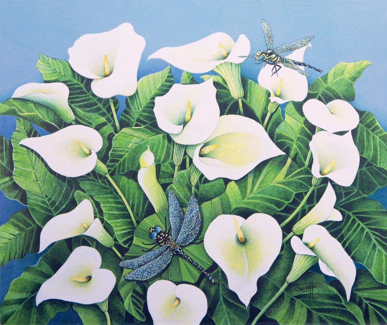 Mosche del drago (olio su tela) da Pat Scott