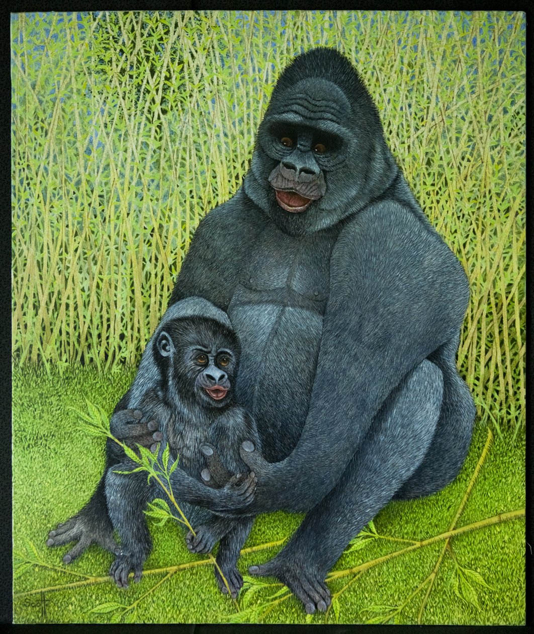 I gorilla da Pat Scott