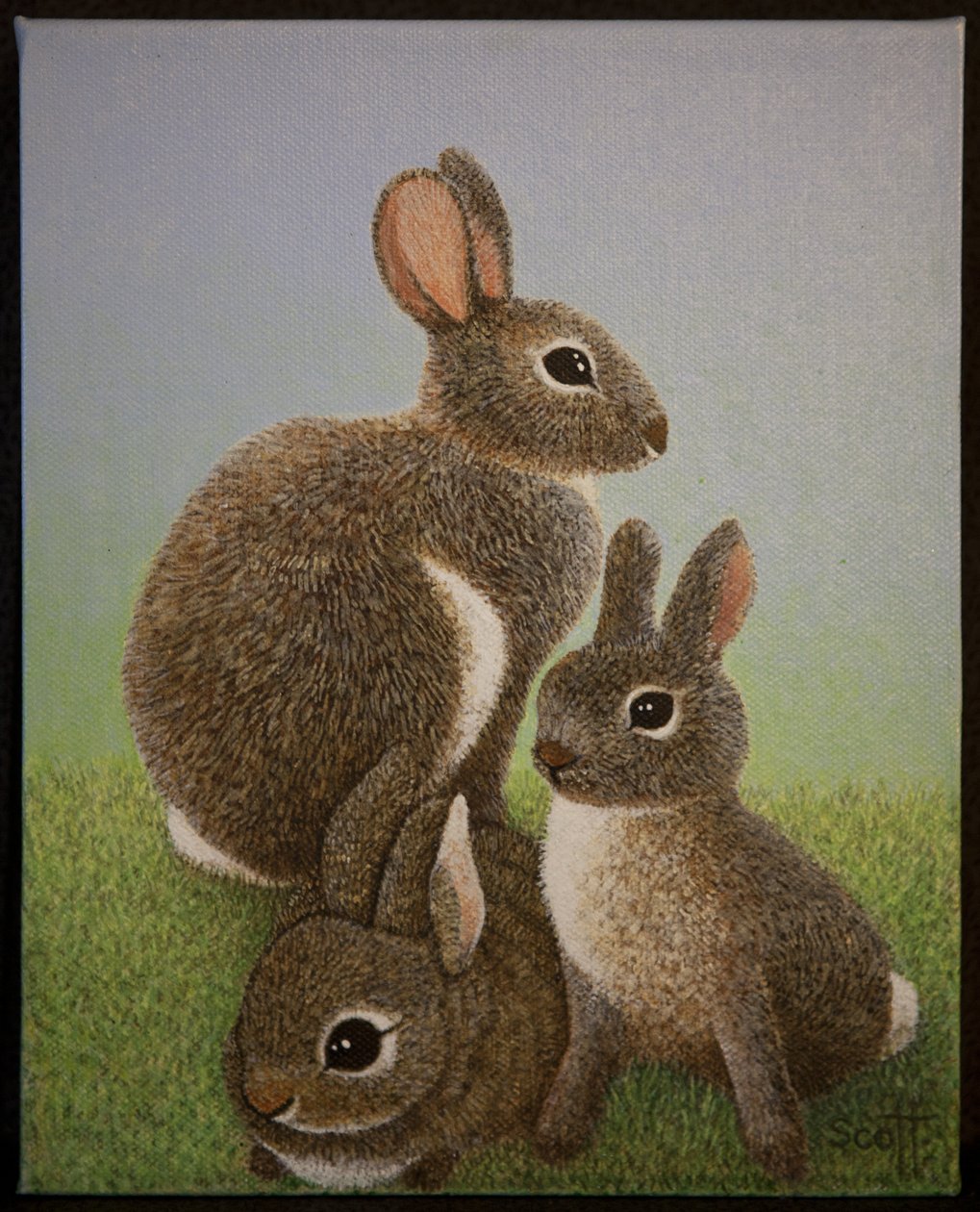 Famiglia Rabbit, 2016 da Pat Scott