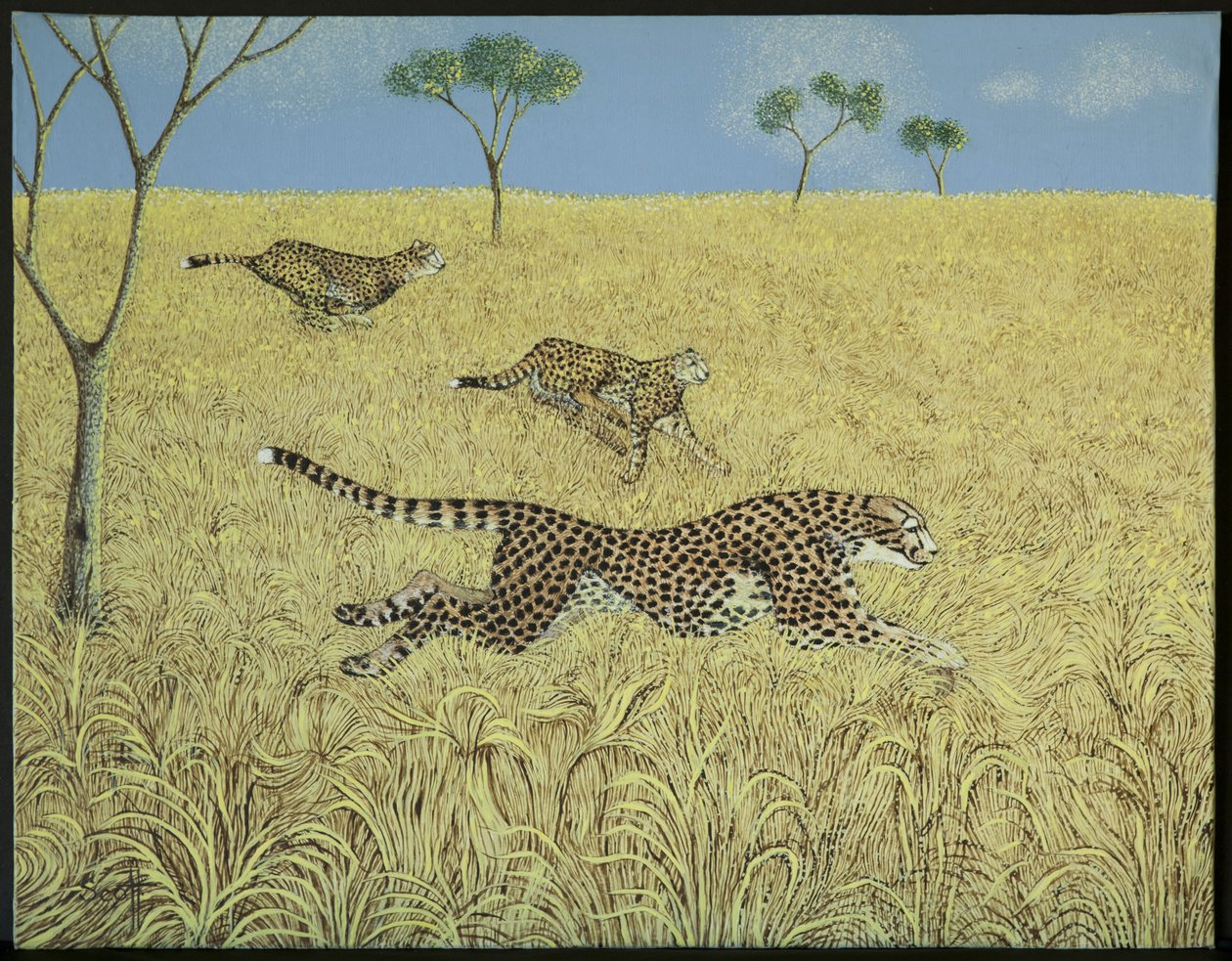 Velocità pura da Pat Scott