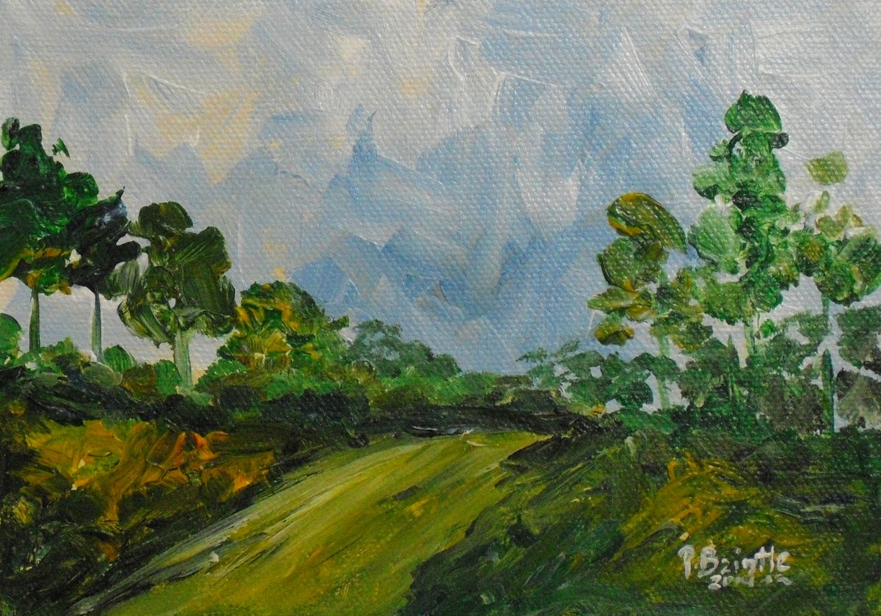 Giù per la collina, 2014 da Patricia Brintle