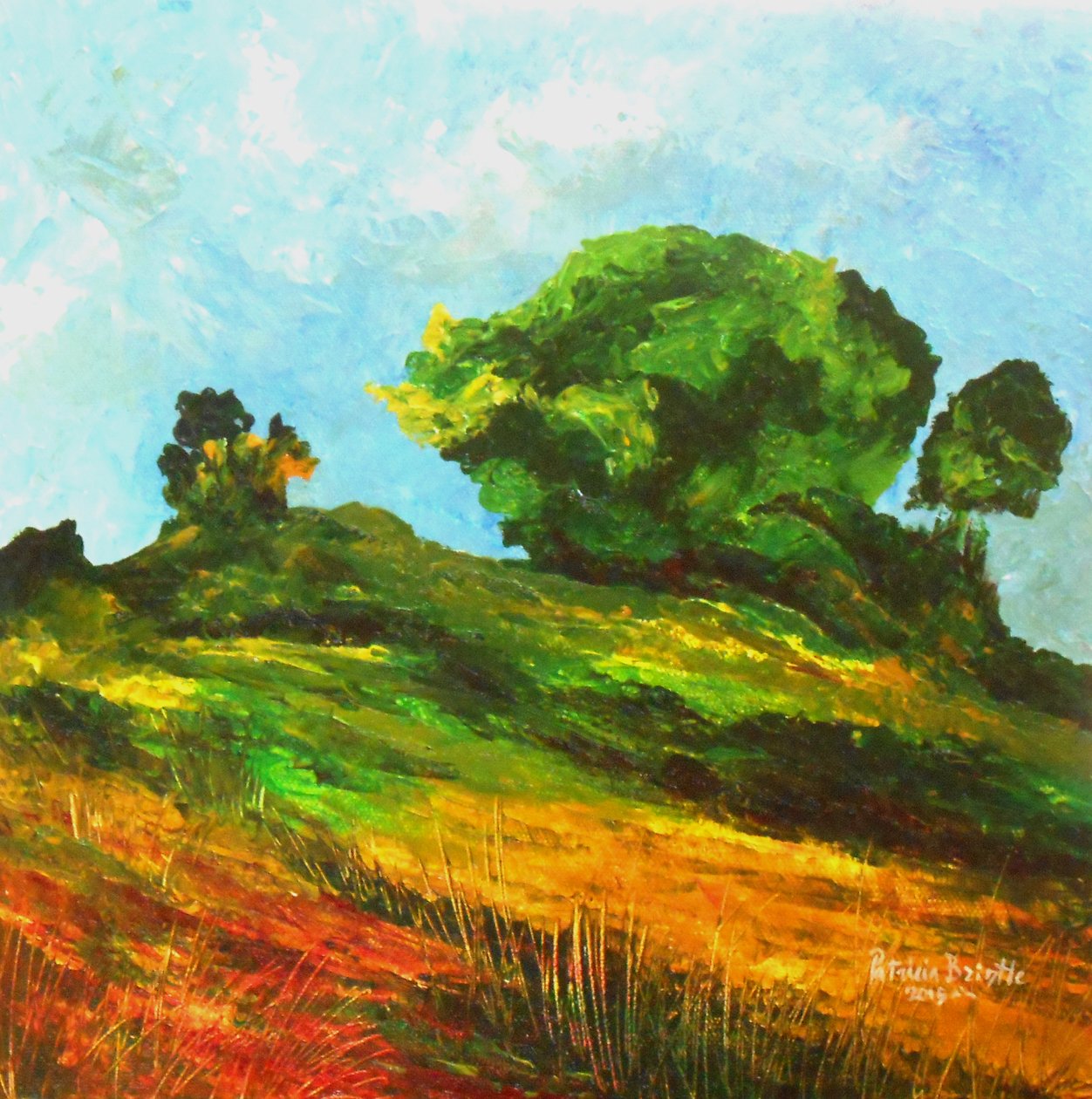 Strada per Mayette, 2015 da Patricia Brintle