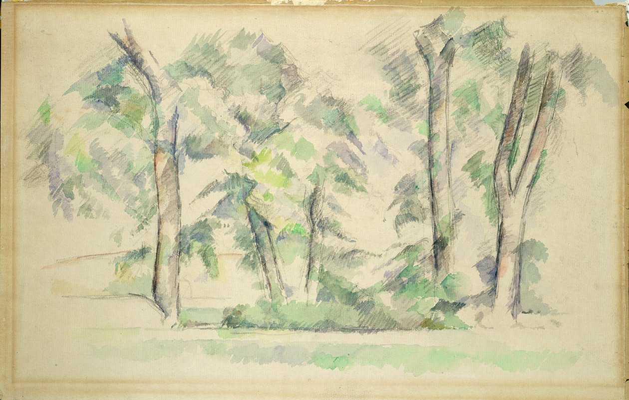 I grandi alberi a Jas de Bouffan, c.1885-87 da Paul Cézanne