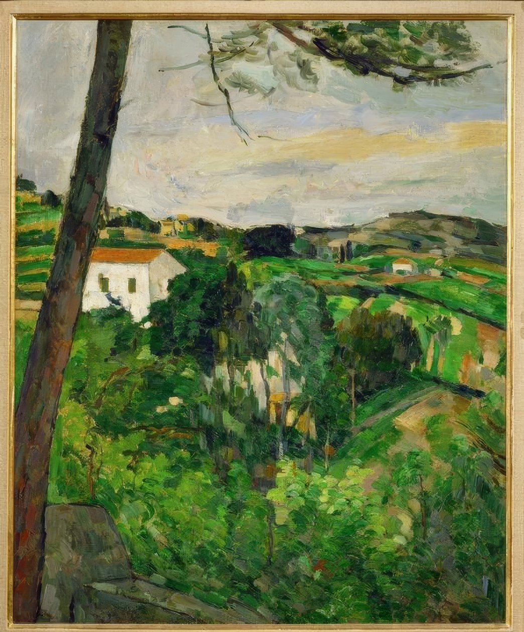 Il pino a l