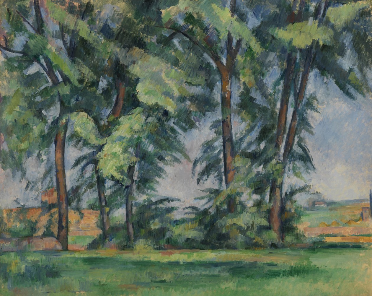 Alberi alti al Jas de Bouffan, c.1883 da Paul Cézanne