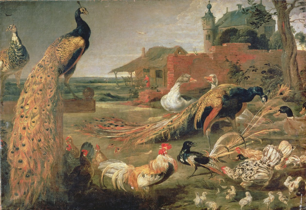 Un corvo con piume di pavone da Paul De Vos