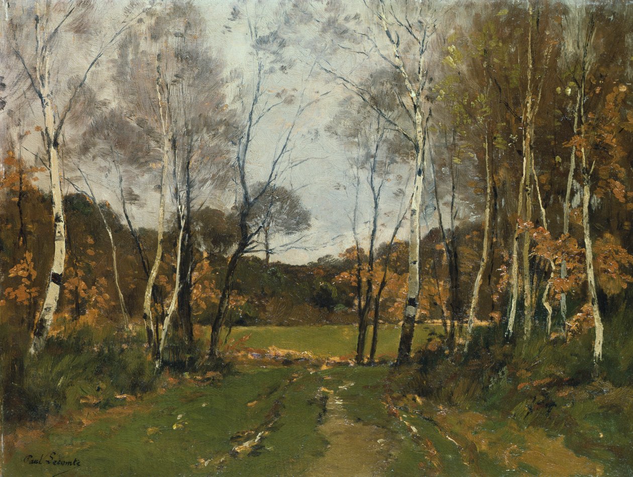 Paesaggio boscoso da Paul Lecomte