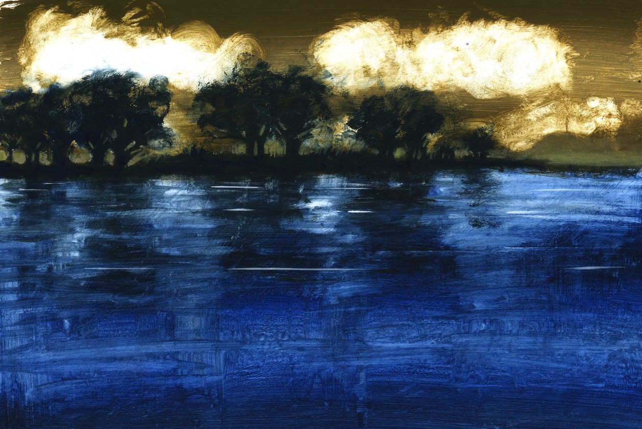 Inondazione, 2009 da Paul Powis