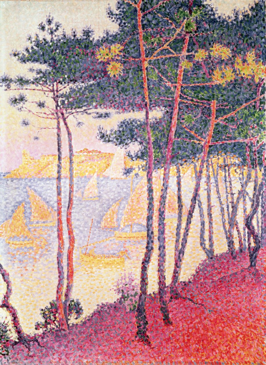 Barche a vela e pini, 1896 da Paul Signac
