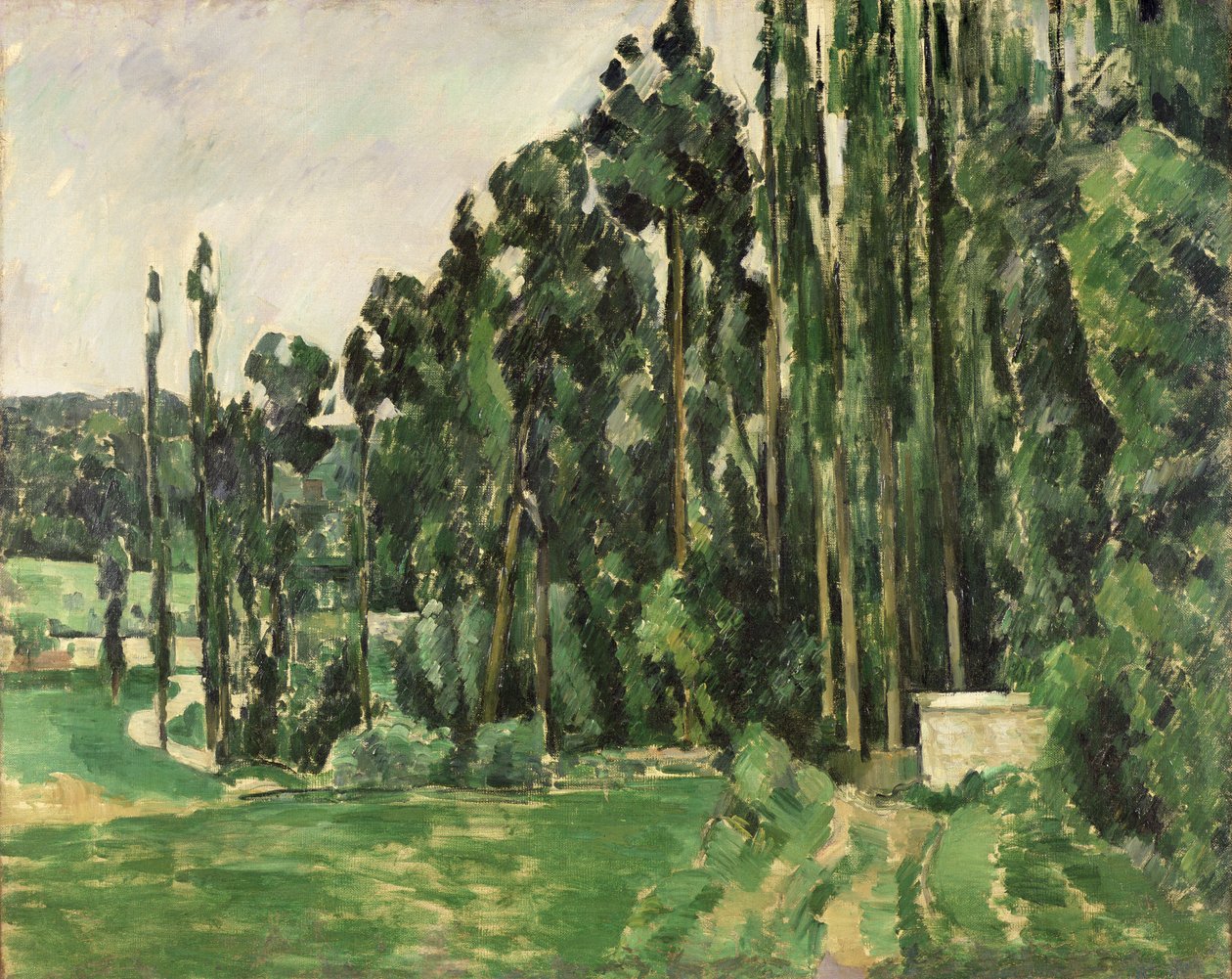 I pioppi, c.1879-82 da Paul Cézanne