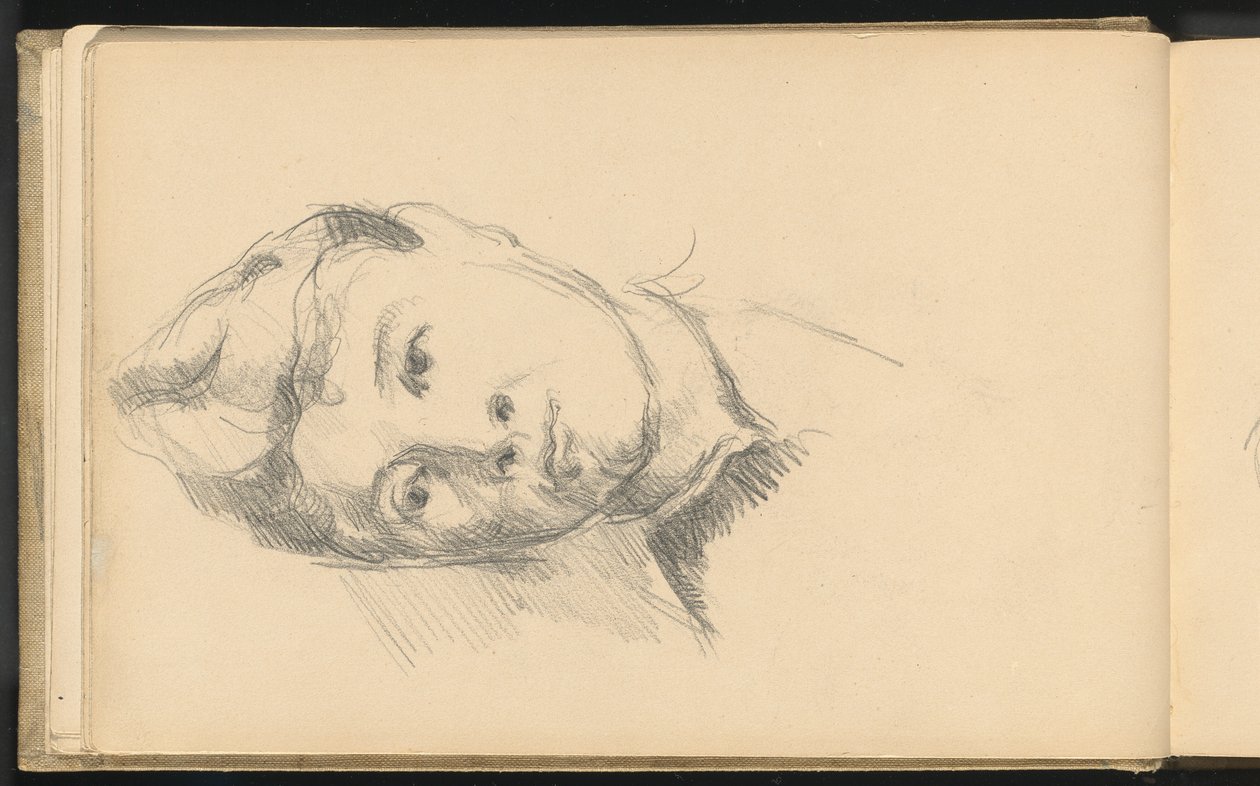 Madame Cézanne da Paul Cézanne