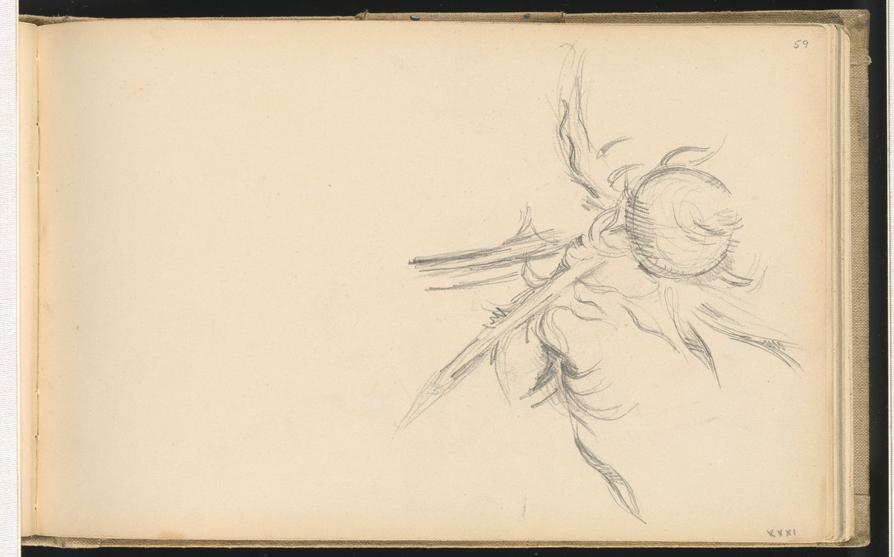 Cardo da Paul Cézanne