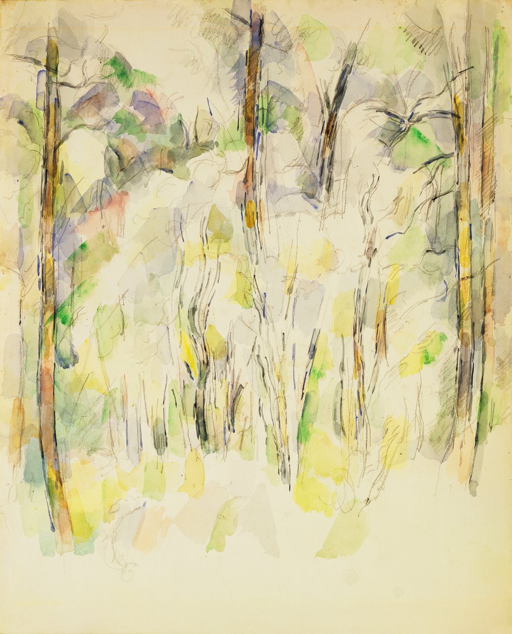 Scena Boschiva da Paul Cézanne