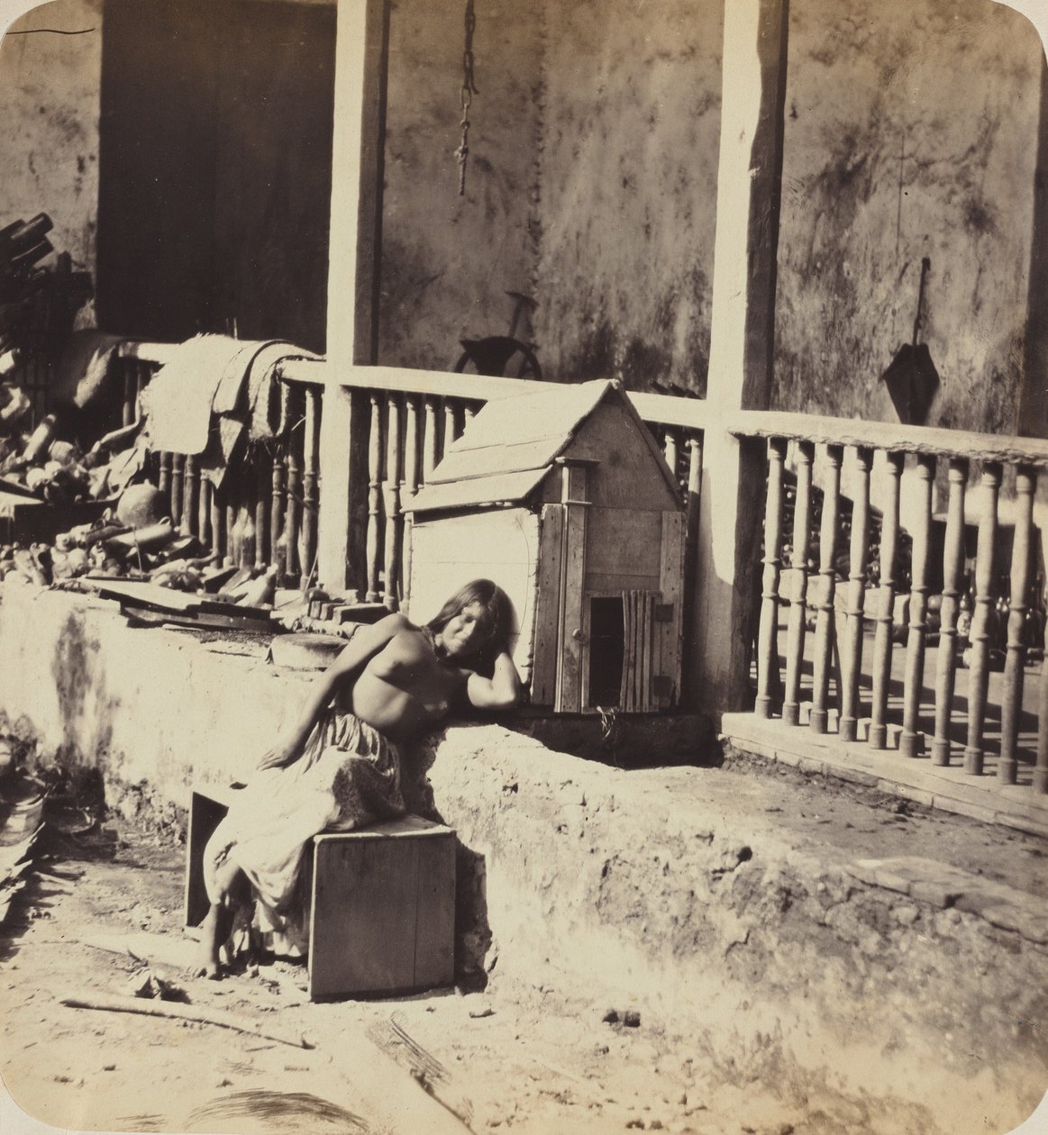 Cane di Garvel (Martinica), anni 1870 (foto) da Paul Emile Miot