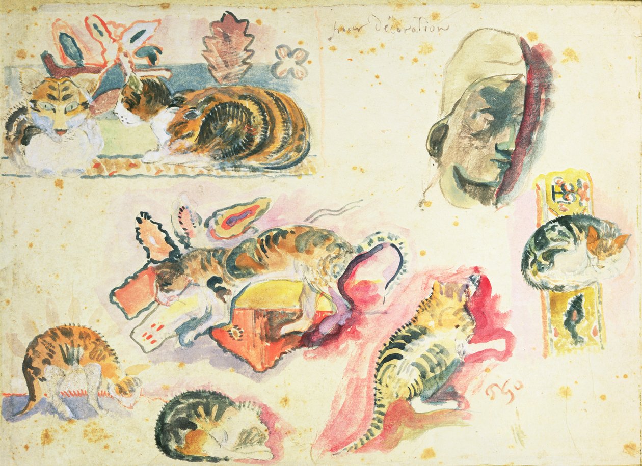 Studio di gatti e una testa da Paul Gauguin